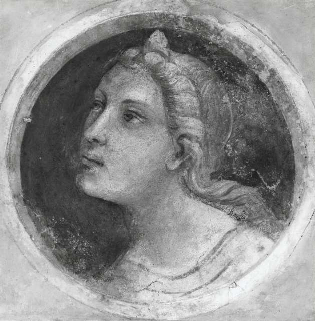 A. C. Cooper — Bicci di Lorenzo - sec. XIV/ XV - Testa di donna — insieme
